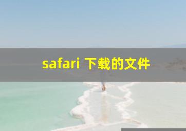 safari 下载的文件